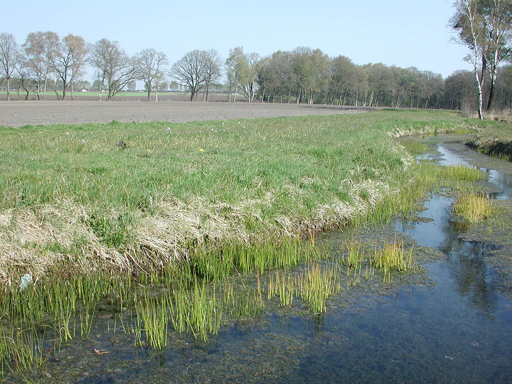 A17 2 Heelsumse beek.
