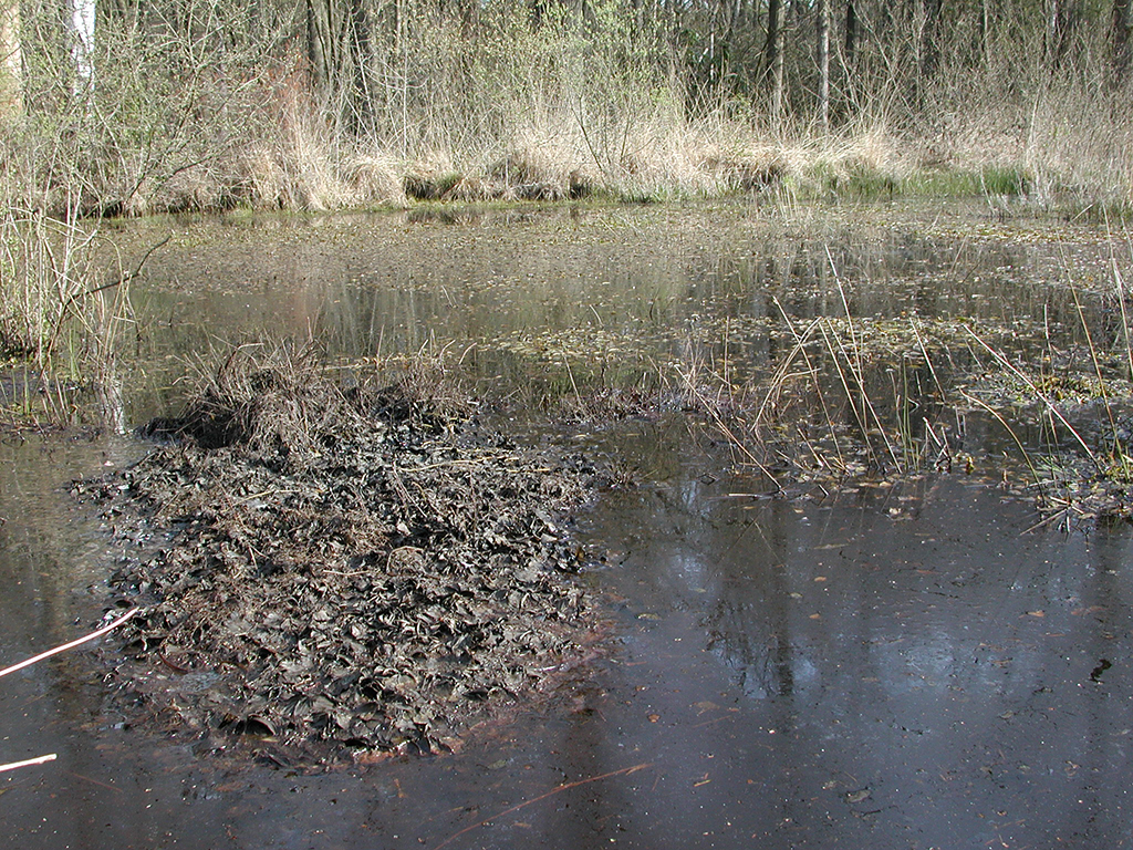 fig_A90-1_bladinwaai.png